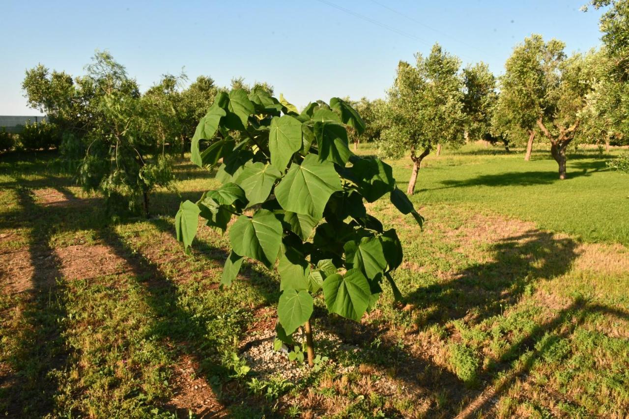 Tenuta Corano Nardò Extérieur photo