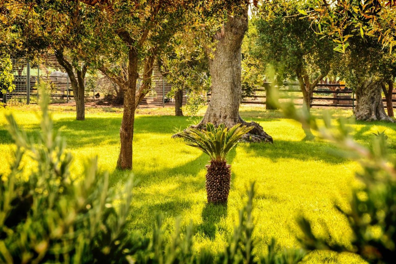 Villa Tenuta Corano Nardò Extérieur photo